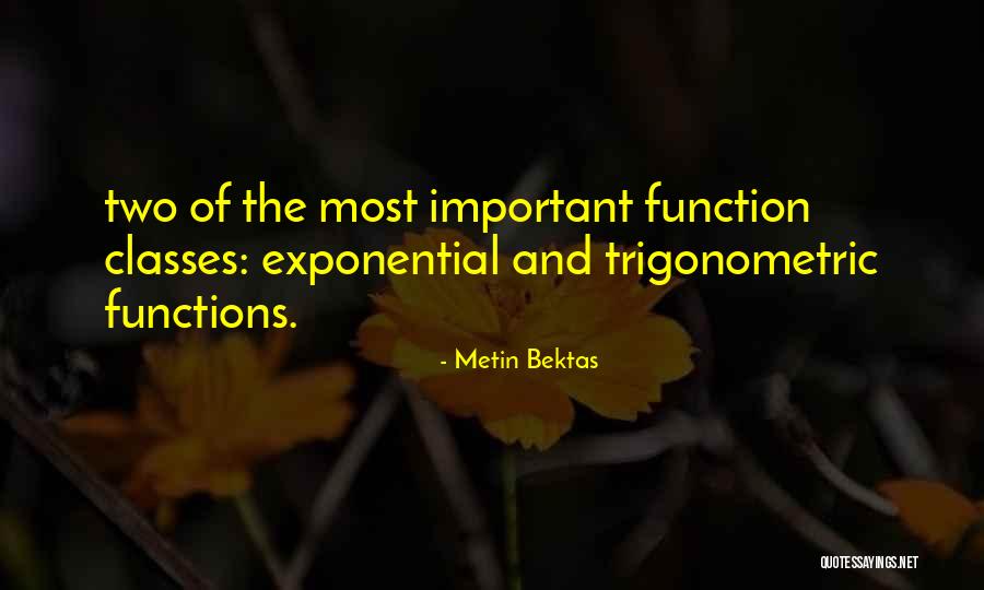 Exponential Function Quotes By Metin Bektas