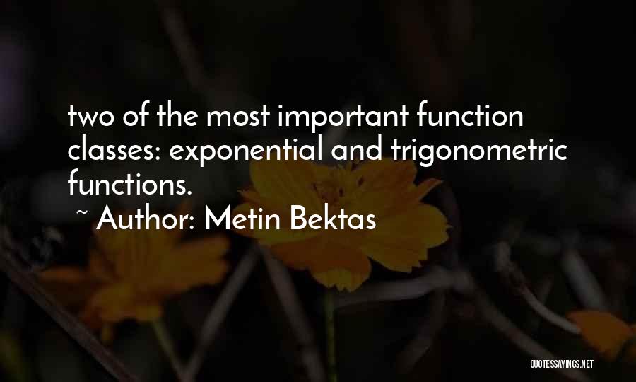 Exponential Quotes By Metin Bektas