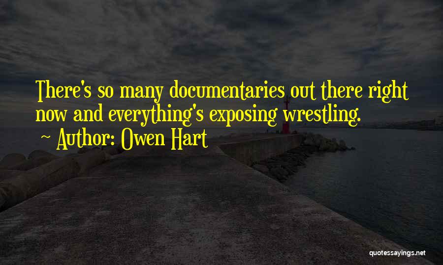 Exposing Others Quotes By Owen Hart