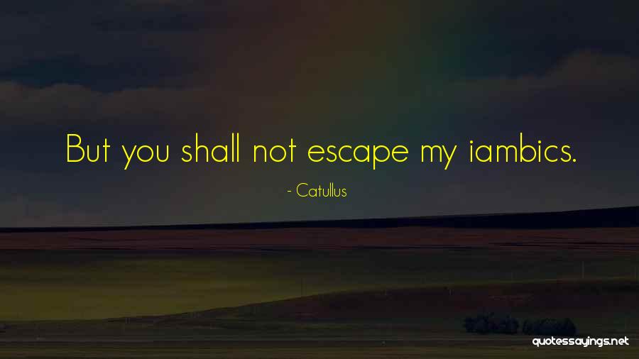 Expounded In A Sentence Quotes By Catullus Expounded In A Sentence Quotes By Catullus