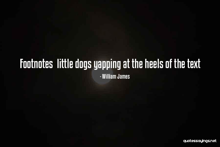 Expresamos El Quotes By William James Expresamos El Quotes By William James