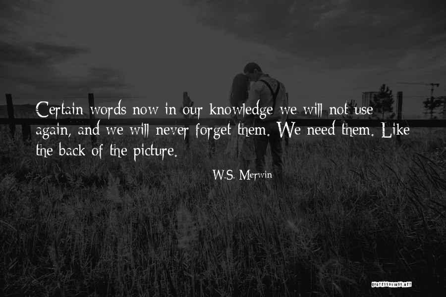 Expresarse Con Quotes By W.S. Merwin Expresarse Con Quotes By W.S. Merwin