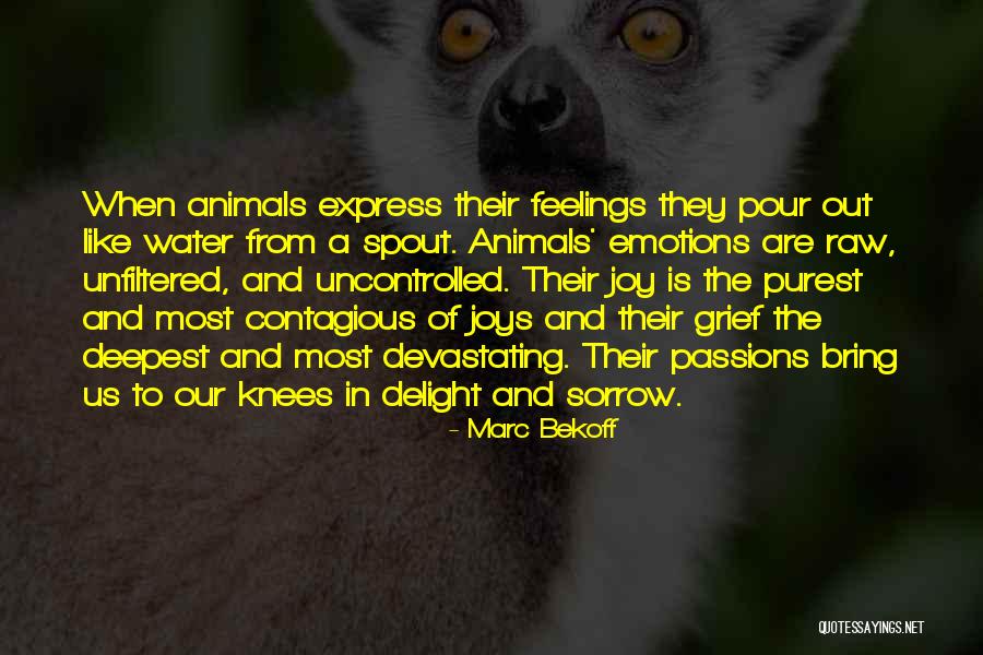 Express Joy Quotes By Marc Bekoff Express Joy Quotes By Marc Bekoff