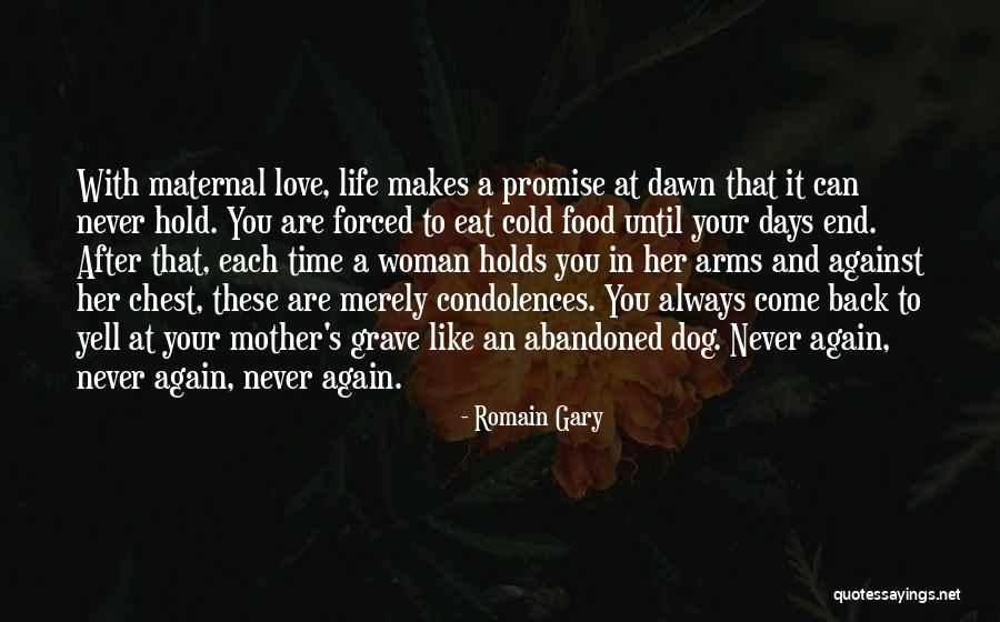Express Notary Quotes By Romain Gary Express Notary Quotes By Romain Gary