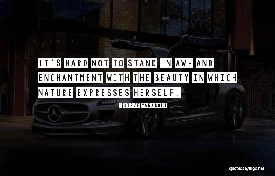 Expresses Beauty Quotes By Steve Maraboli Expresses Beauty Quotes By Steve Maraboli