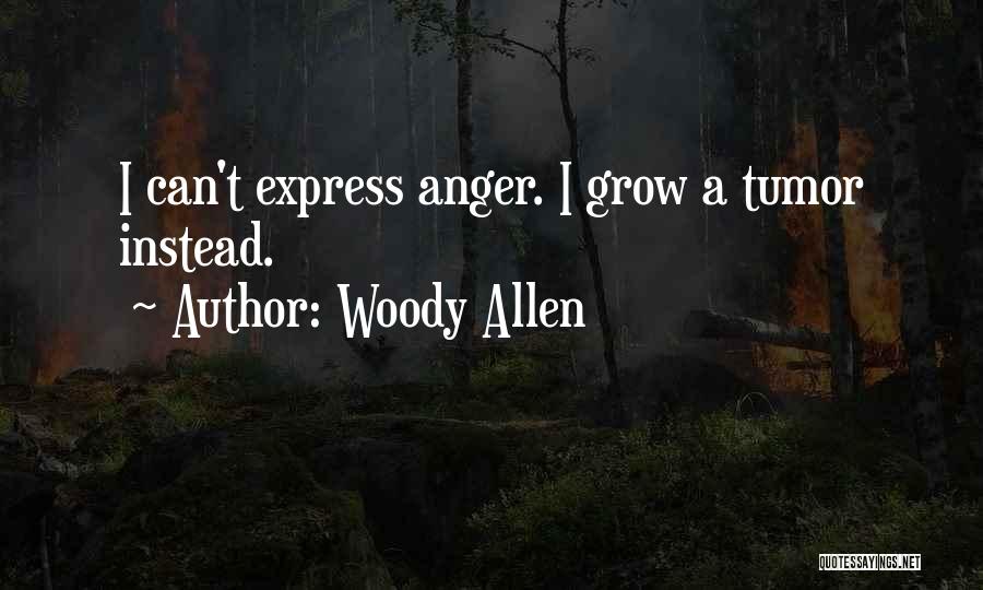 Expressing Anger Quotes By Woody Allen