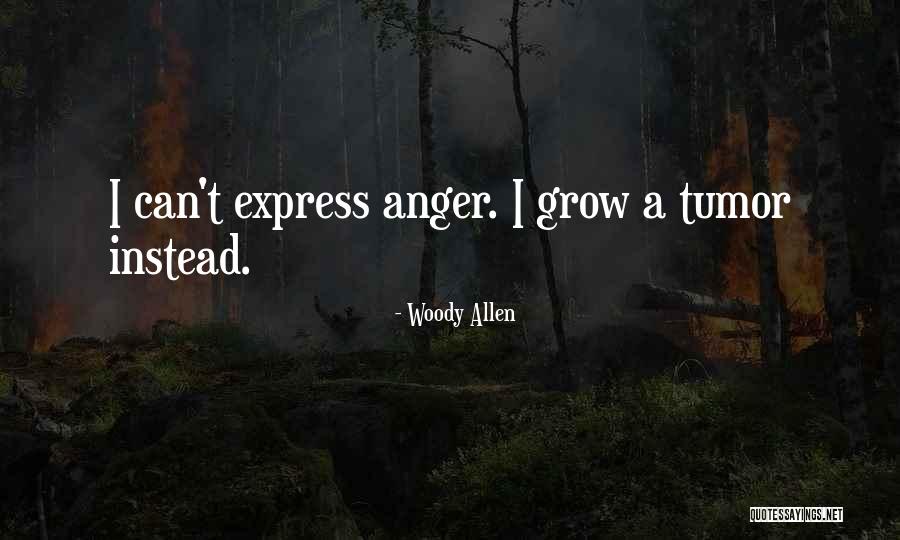 Expressing Anger Quotes By Woody Allen