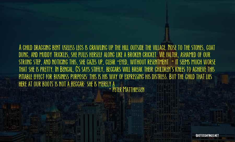 Expressing Quotes By Peter Matthiessen