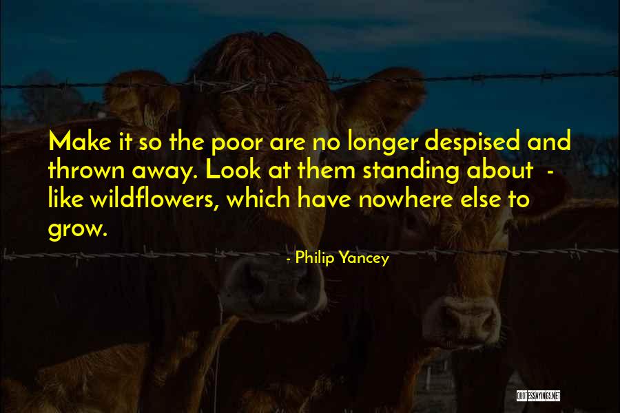 Exquisita Tortillas Quotes By Philip Yancey Exquisita Tortillas Quotes By Philip Yancey