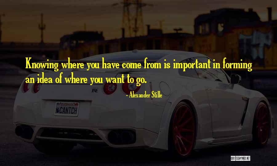 Extasiado Definicion Quotes By Alexander Stille Extasiado Definicion Quotes By Alexander Stille