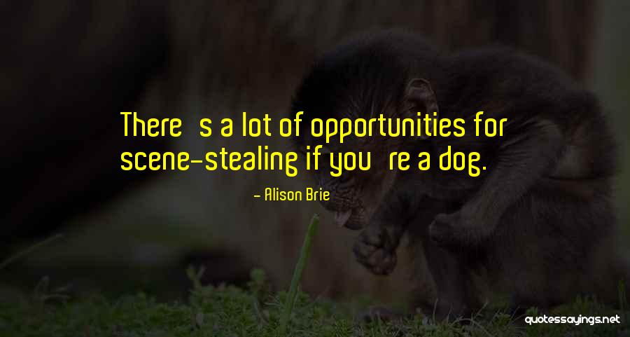 Extemporary Speaking Quotes By Alison Brie Extemporary Speaking Quotes By Alison Brie