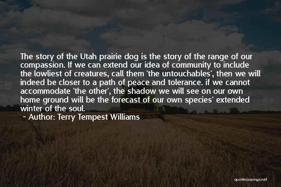 Extend Quotes By Terry Tempest Williams