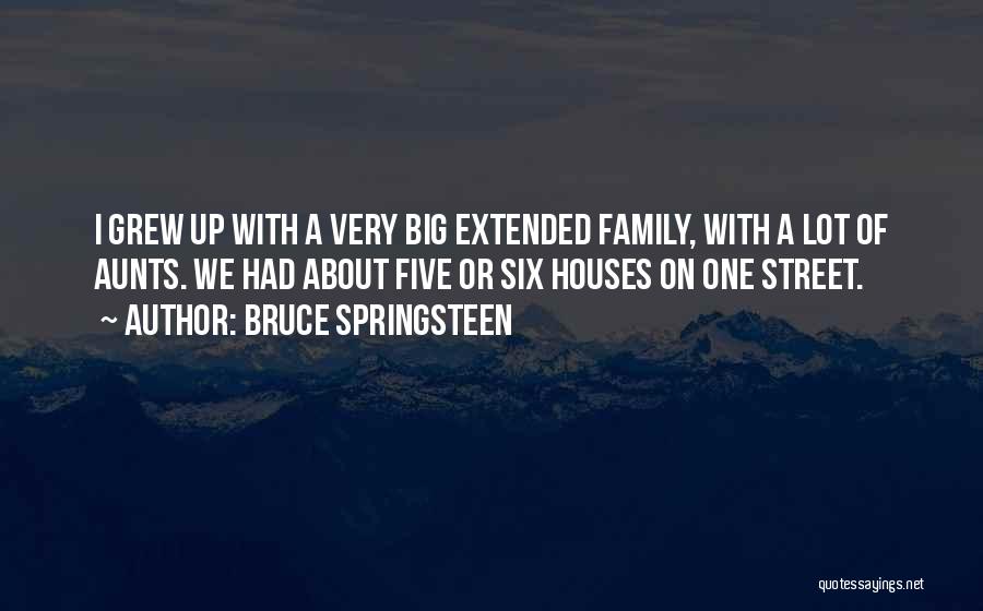 Extended Family Quotes By Bruce Springsteen