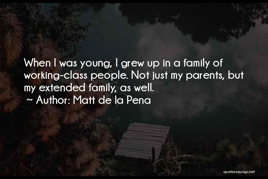 Extended Family Quotes By Matt De La Pena