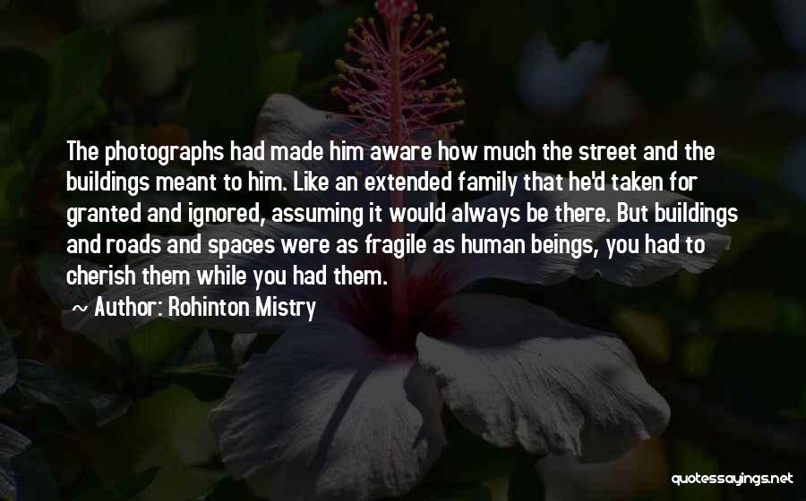 Extended Family Quotes By Rohinton Mistry