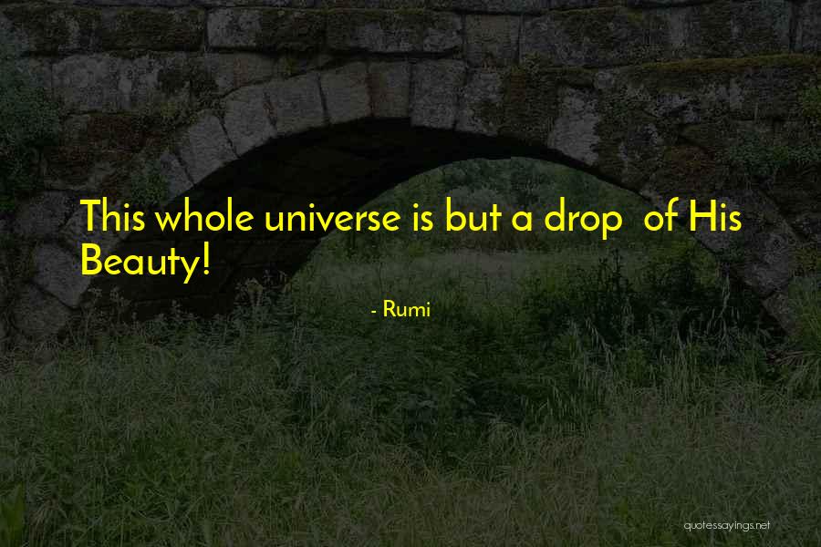 Extender Player Quotes By Rumi