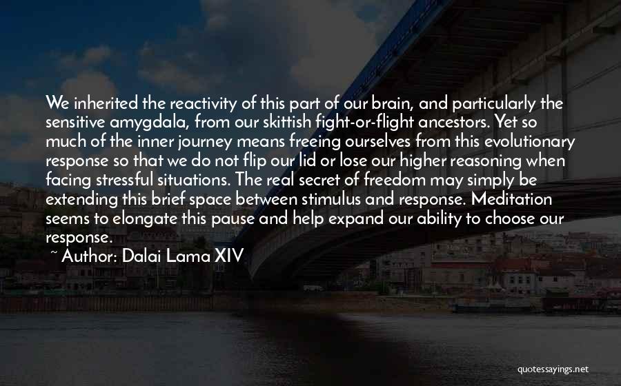 Extending Help Quotes By Dalai Lama XIV