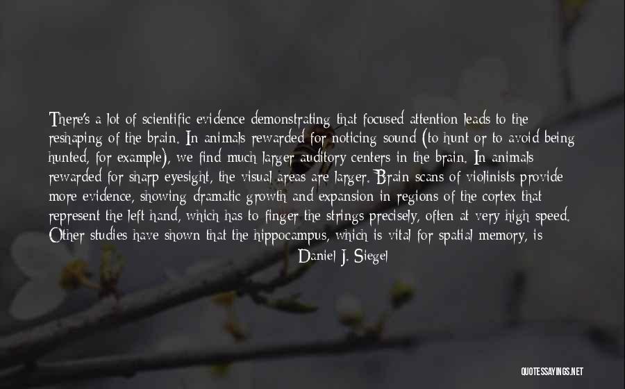 Extending Kindness Quotes By Daniel J. Siegel