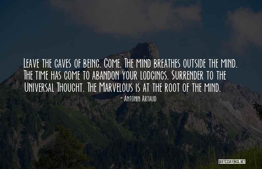 Extending Patience Quotes By Antonin Artaud Extending Patience Quotes By Antonin Artaud