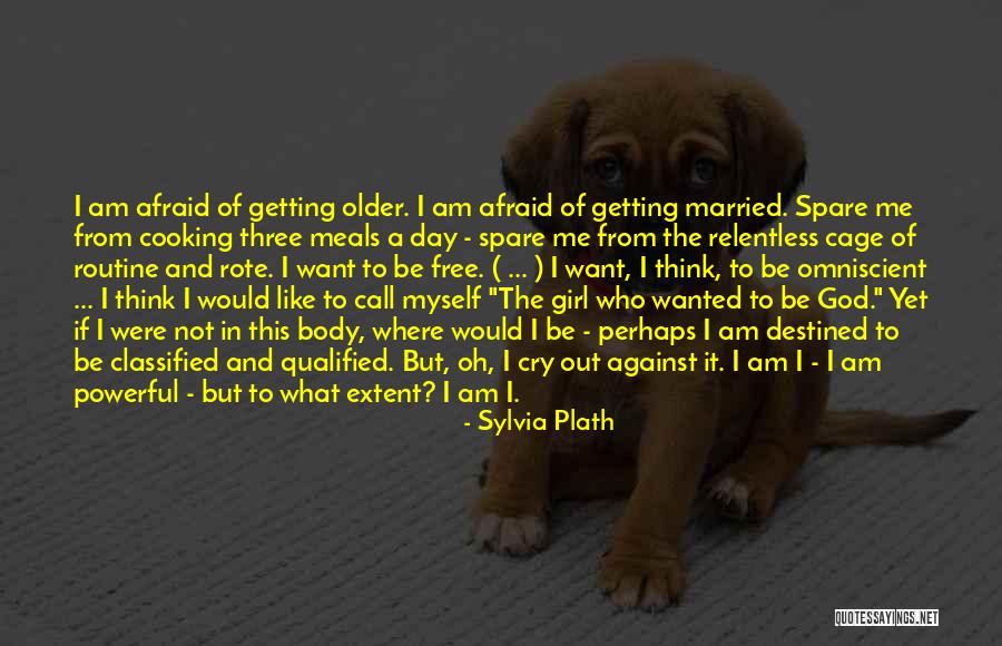 Extent Quotes By Sylvia Plath