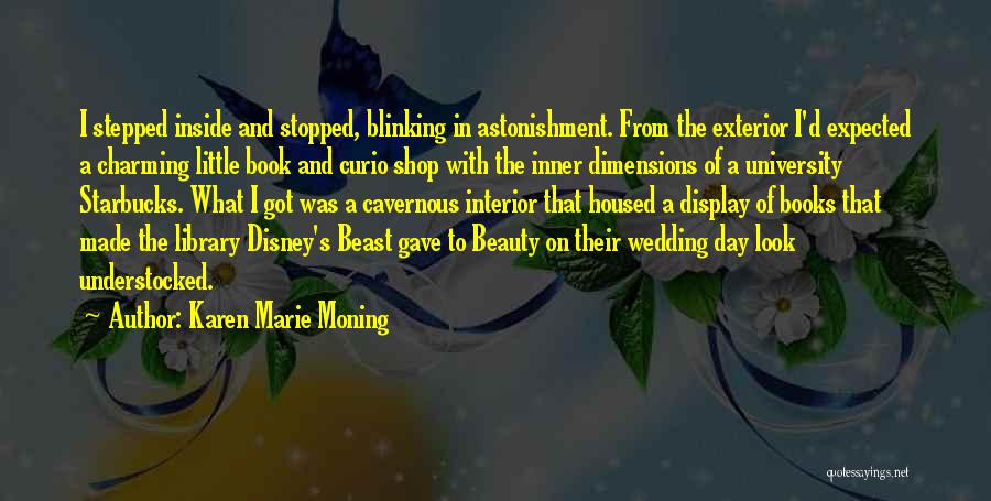 Exterior Beauty Quotes By Karen Marie Moning