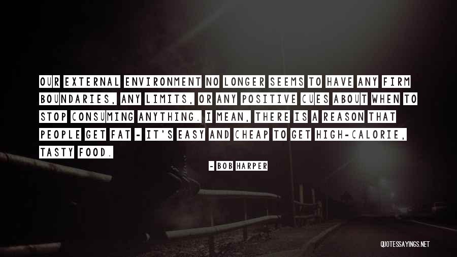 External Environment Quotes By Bob Harper External Environment Quotes By Bob Harper