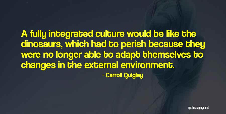 External Environment Quotes By Carroll Quigley