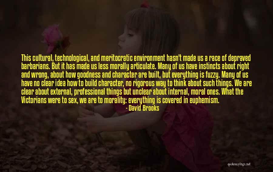 External Environment Quotes By David Brooks External Environment Quotes By David Brooks