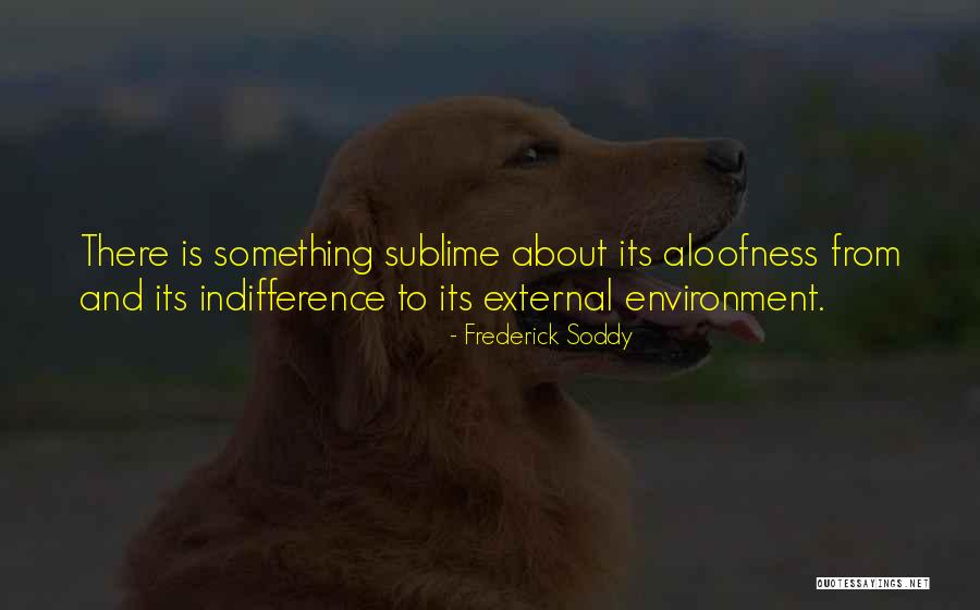 External Environment Quotes By Frederick Soddy External Environment Quotes By Frederick Soddy