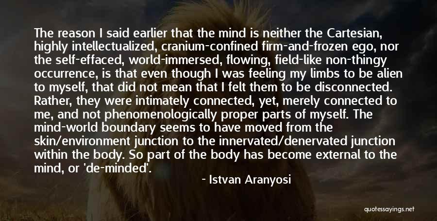 External Environment Quotes By Istvan Aranyosi