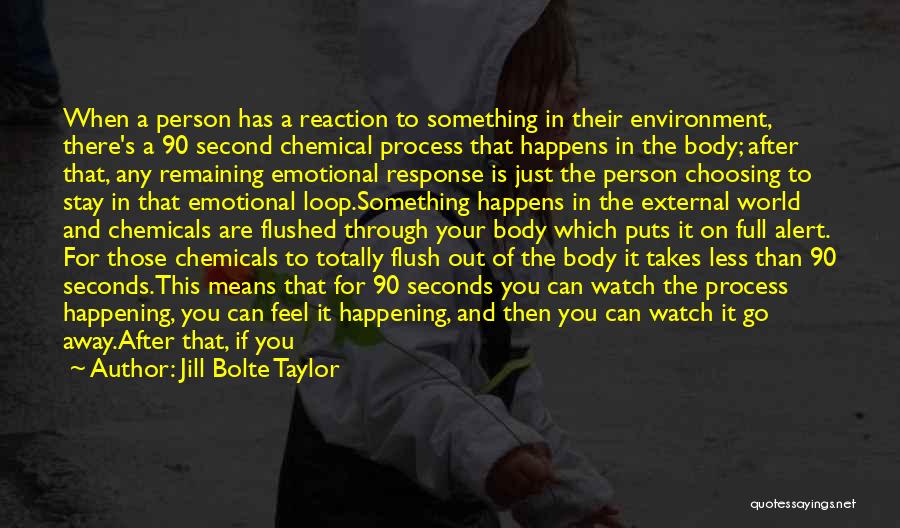 External Environment Quotes By Jill Bolte Taylor