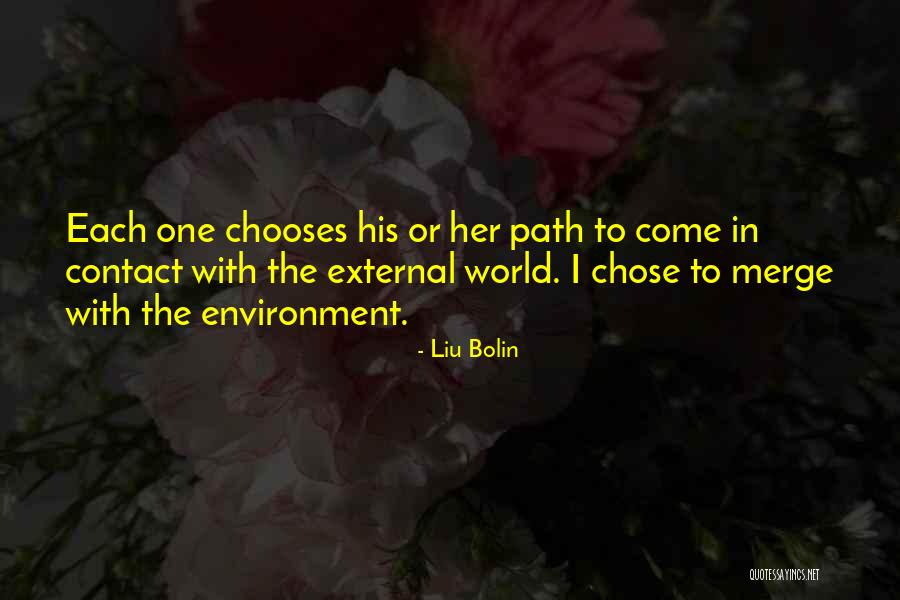 External Environment Quotes By Liu Bolin External Environment Quotes By Liu Bolin