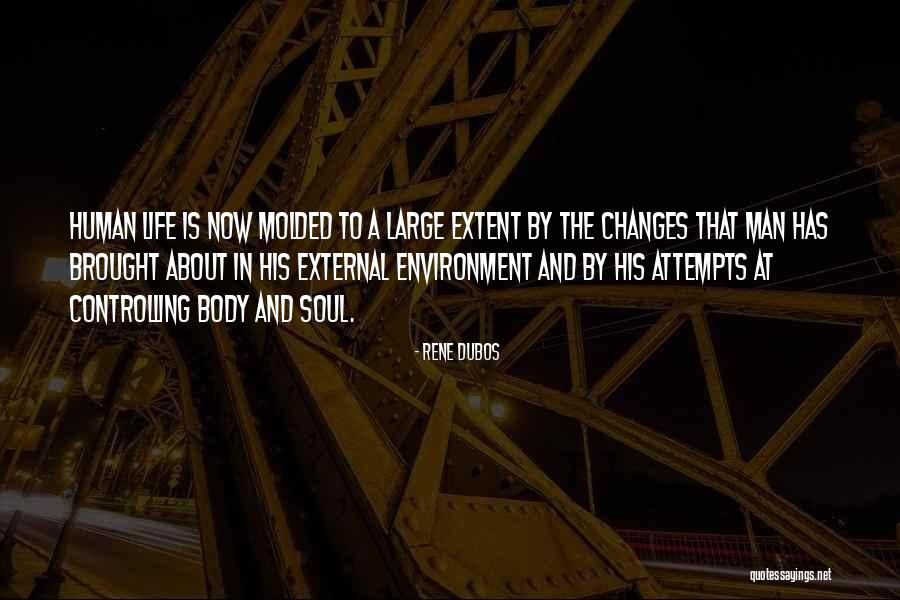 External Environment Quotes By Rene Dubos