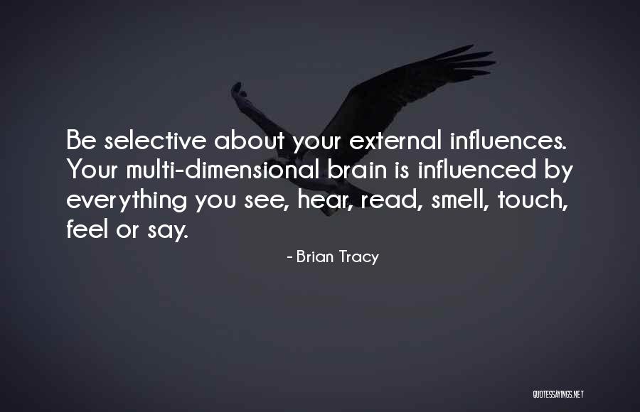 External Influences Quotes By Brian Tracy