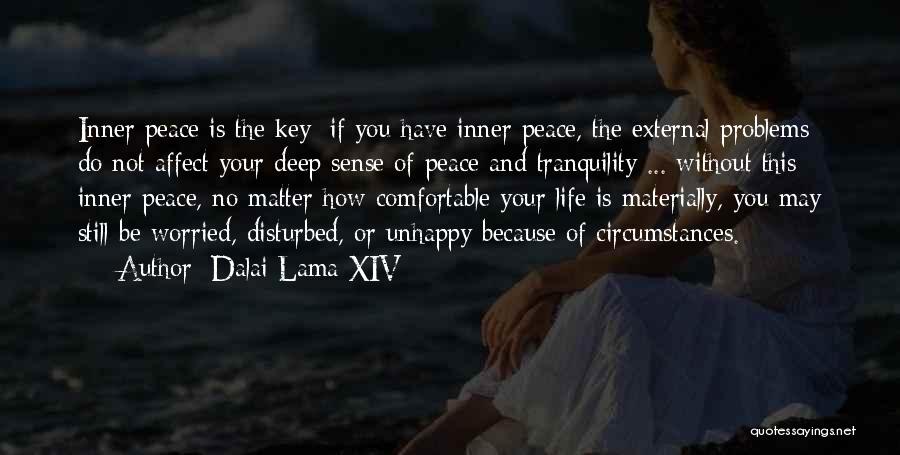 External Peace Quotes By Dalai Lama XIV
