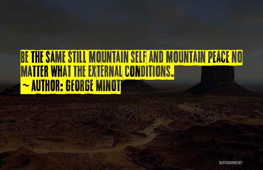 External Peace Quotes By George Minot