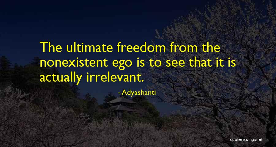 Externality Graphs Quotes By Adyashanti Externality Graphs Quotes By Adyashanti