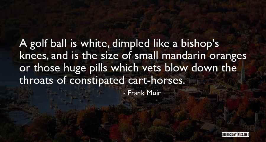 Externalization Of The Hierarchy Quotes By Frank Muir Externalization Of The Hierarchy Quotes By Frank Muir