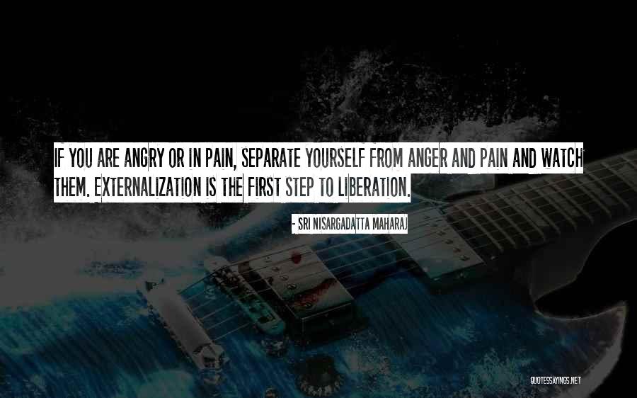 Externalization Quotes By Sri Nisargadatta Maharaj Externalization Quotes By Sri Nisargadatta Maharaj