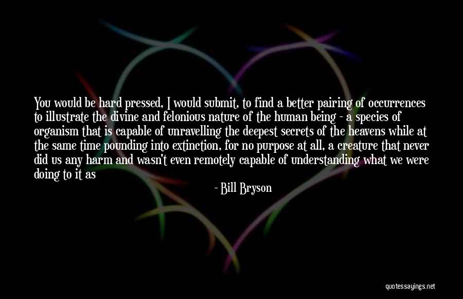 Extinction Of Species Quotes By Bill Bryson Extinction Of Species Quotes By Bill Bryson