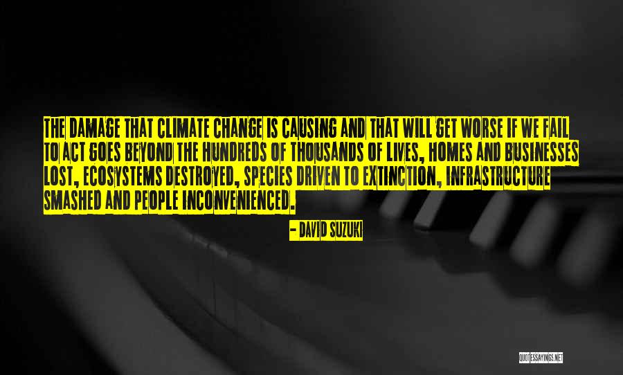 Extinction Of Species Quotes By David Suzuki Extinction Of Species Quotes By David Suzuki