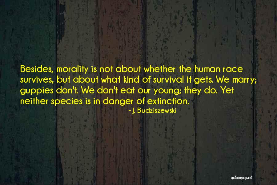 Extinction Of Species Quotes By J. Budziszewski Extinction Of Species Quotes By J. Budziszewski