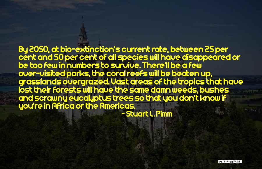 Extinction Of Species Quotes By Stuart L. Pimm Extinction Of Species Quotes By Stuart L. Pimm