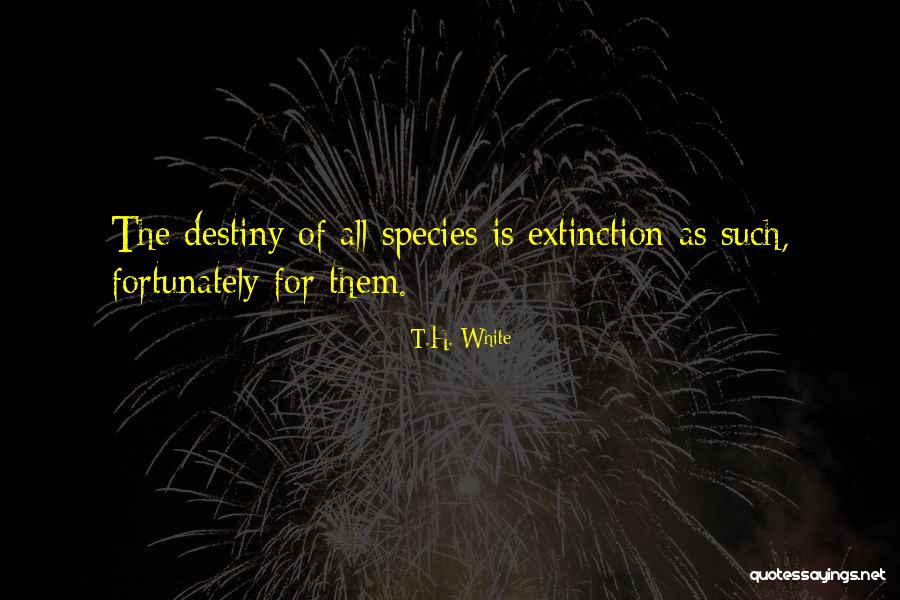Extinction Of Species Quotes By T.H. White Extinction Of Species Quotes By T.H. White