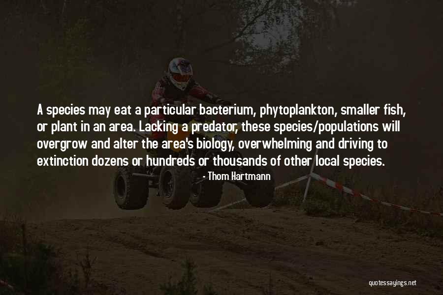 Extinction Of Species Quotes By Thom Hartmann Extinction Of Species Quotes By Thom Hartmann