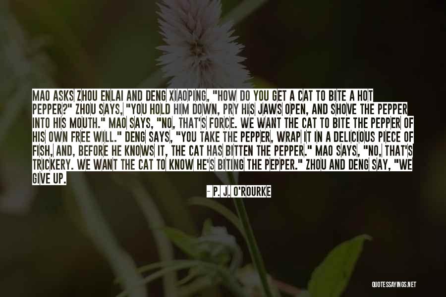 Extinguirse In Future Quotes By P. J. O'Rourke Extinguirse In Future Quotes By P. J. O'Rourke