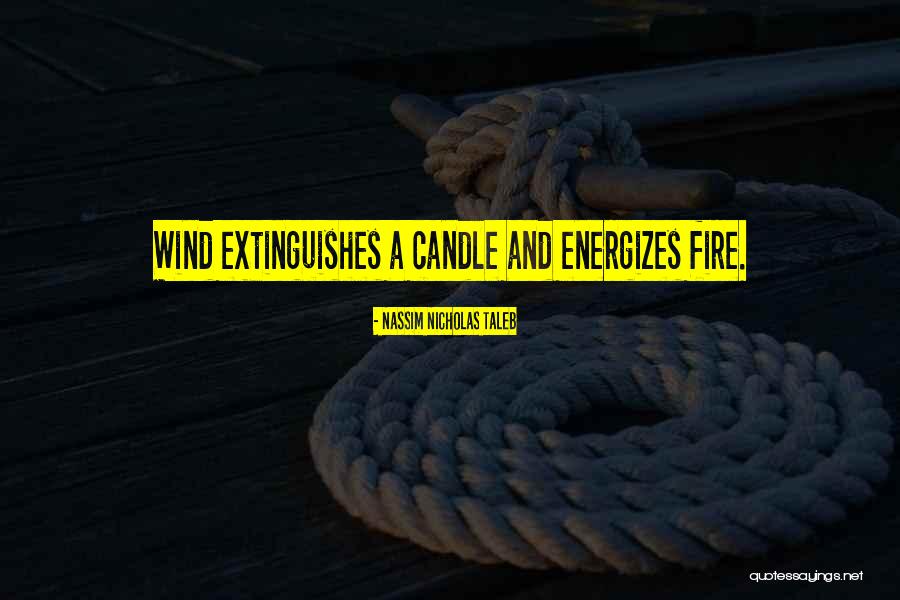Extinguishes Quotes By Nassim Nicholas Taleb Extinguishes Quotes By Nassim Nicholas Taleb