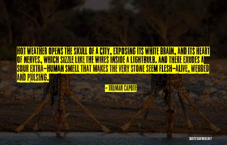 Extra Human Quotes By Truman Capote Extra Human Quotes By Truman Capote