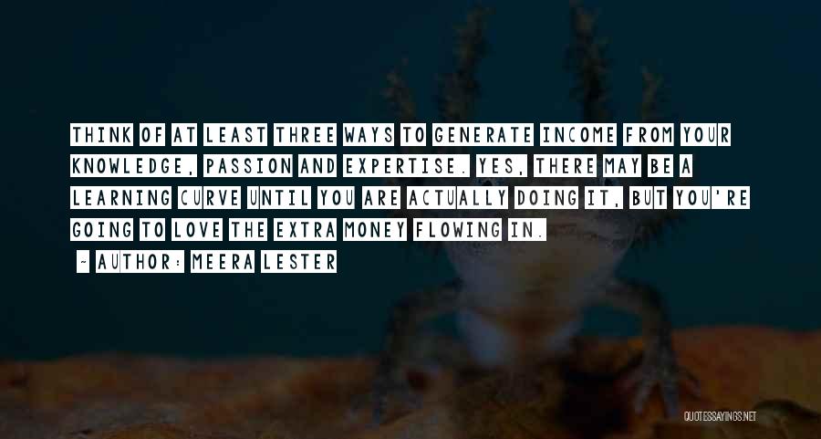 Extra Income Quotes By Meera Lester