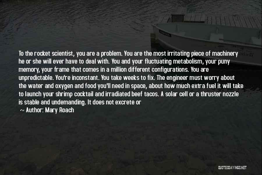 Extra Love Quotes By Mary Roach